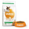 Hrană pentru câini IAMS Miel Mic și Mediu Adult 3kg
