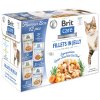 Pouches Brit Care Cat Flavor box fillets in jelly Multi 12x85g