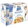 Pouches Brit Care Cat Flavor box fillets in jelly Multi 12x85g