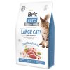 Brit Care Pisici fără cereale Pisici mari Putere și vitalitate 2 kg