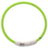 Dog Fantasy LED nylon collar green 45cm