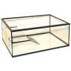 Schildkrötenbecken Ante 96l, 80x40x30cm, 5mm