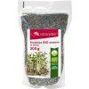 Bio brokkoli - csíráztató magvak 200g  + Při koupi 12 a více kusů 3% Sleva
