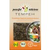 Friedlich leckerer Pintobohnen-Tempeh mit orientalischen Gewürzen 200g Bio