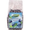 Dennree Gefriergetrocknete Heidelbeeren 35g Bio