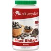 Shud Shilajit, mumio 90 tabliet, 37,8 g