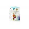 Herbata Ajurwedyjska - Wellness - McCoy 24x2g