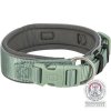 PREMIUM collar extra wide, sage/graphite