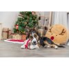 Xmas Dog - Hund 16 cm, Hundespielzeug mit Sound, Plüsch