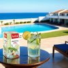 COOLTEA Mojito s limetkou 20x2g 40g