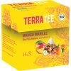 56685 terra tee ovocny caj mango s merunkou 16 x 1 8 g bio