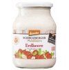 57663 schrozberger jogurt jahodovy 500 g bio