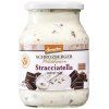 57852 schrozberger jemny jogurt stracciatella 500 g bio