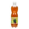 Kombucha meduňka 500 ml BIO STEVIKOM