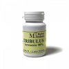 Herbal produkt Tribulus 90+10tbl  + Při koupi 12 a více kusů 3% Sleva