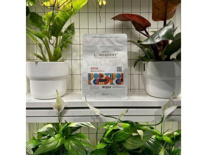 INDIE (Bada Budangiri AA)