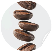 Washed, natural a honey: jak zpracování kávy mění chuť v šálku