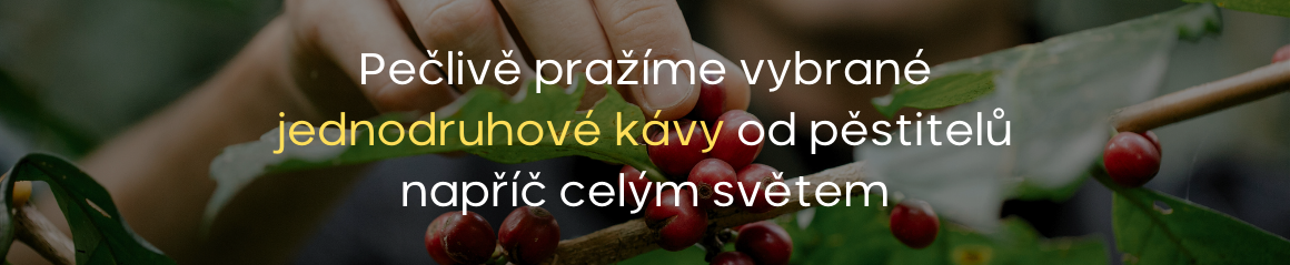 pražení