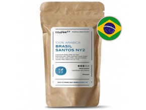 BRASIL Santos NY2