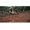 ETHIOPIA YIRGACHEFFE