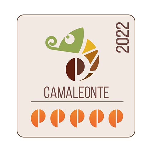 5-Camaleonti-per-moka