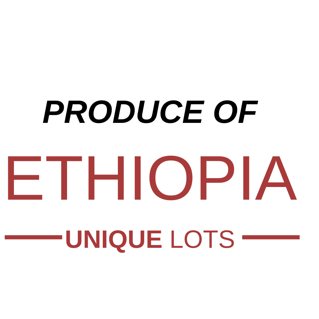 Ethiopia_unique_lots