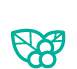icon3