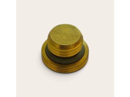 ECM plug 1/4 gas