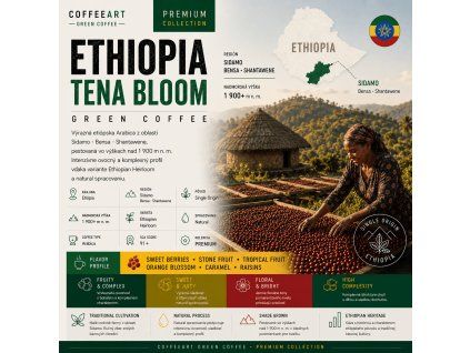 Ethiopia tena bloom