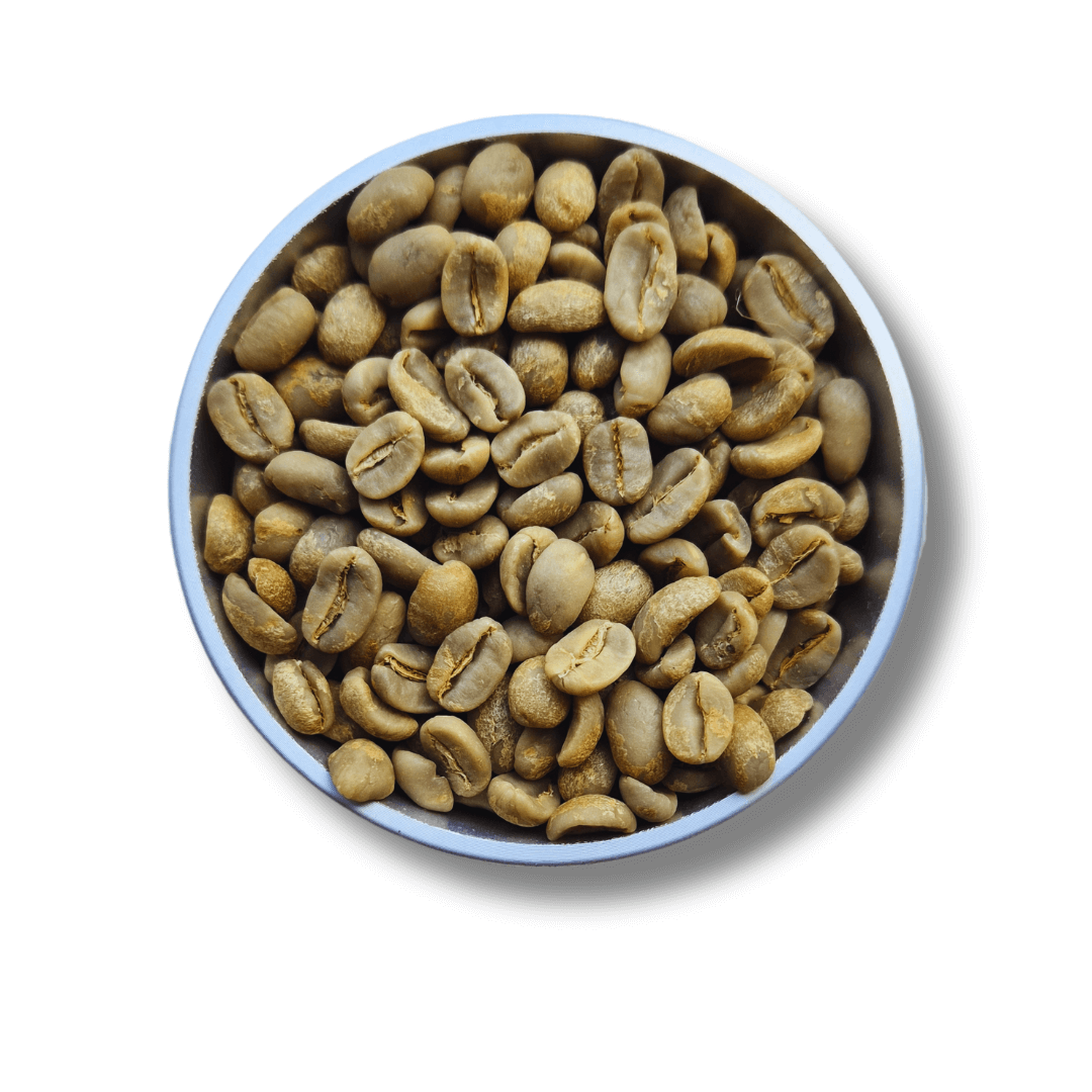 Zelená káva El Salvador EL Borbollon - 1kg
