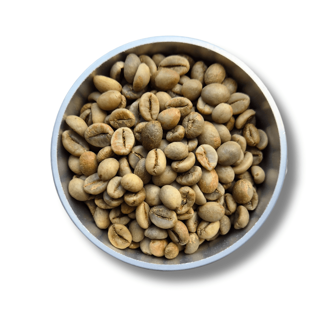 Zelená káva India Robusta Parchment AB - 1kg