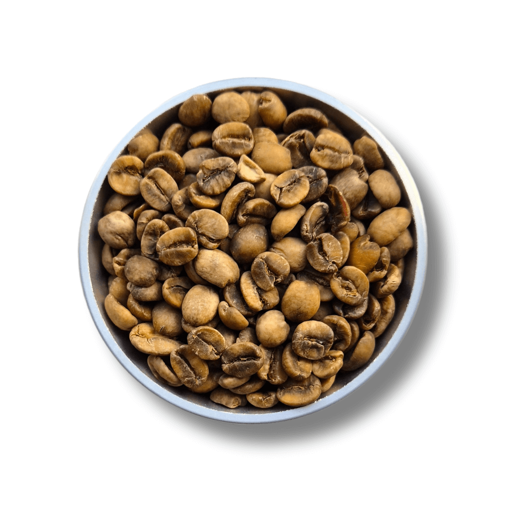 9 Grams Coffee Brazil Santos Flor de Mococa