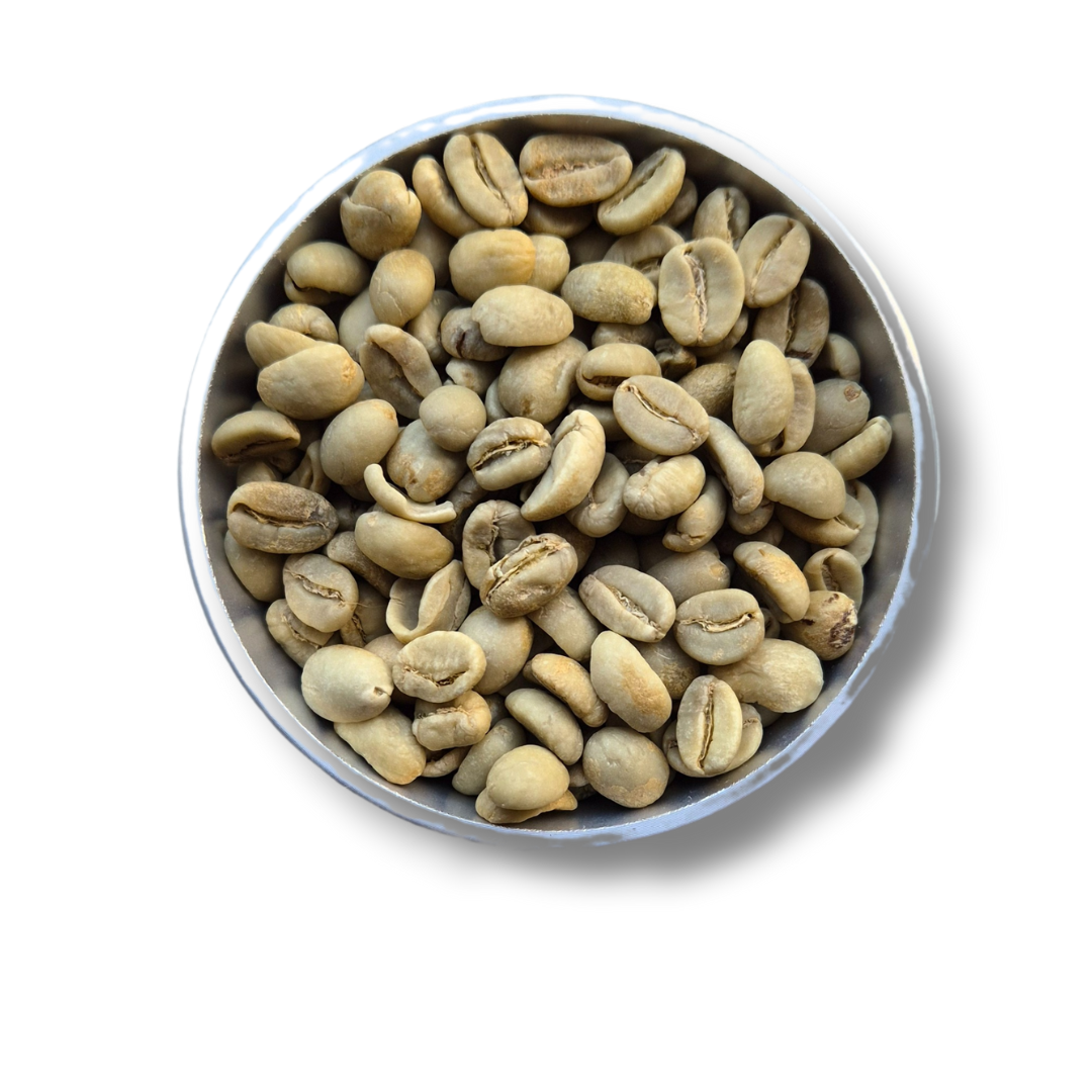 9 Grams Coffee Brazil Santos Flor de Mococa