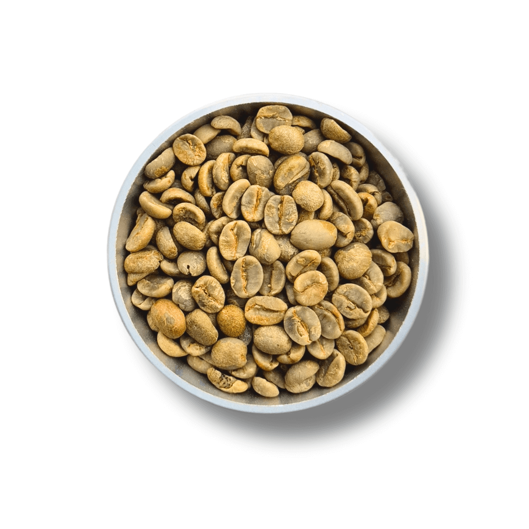 9 Grams Coffee Brazil Santos Flor de Mococa