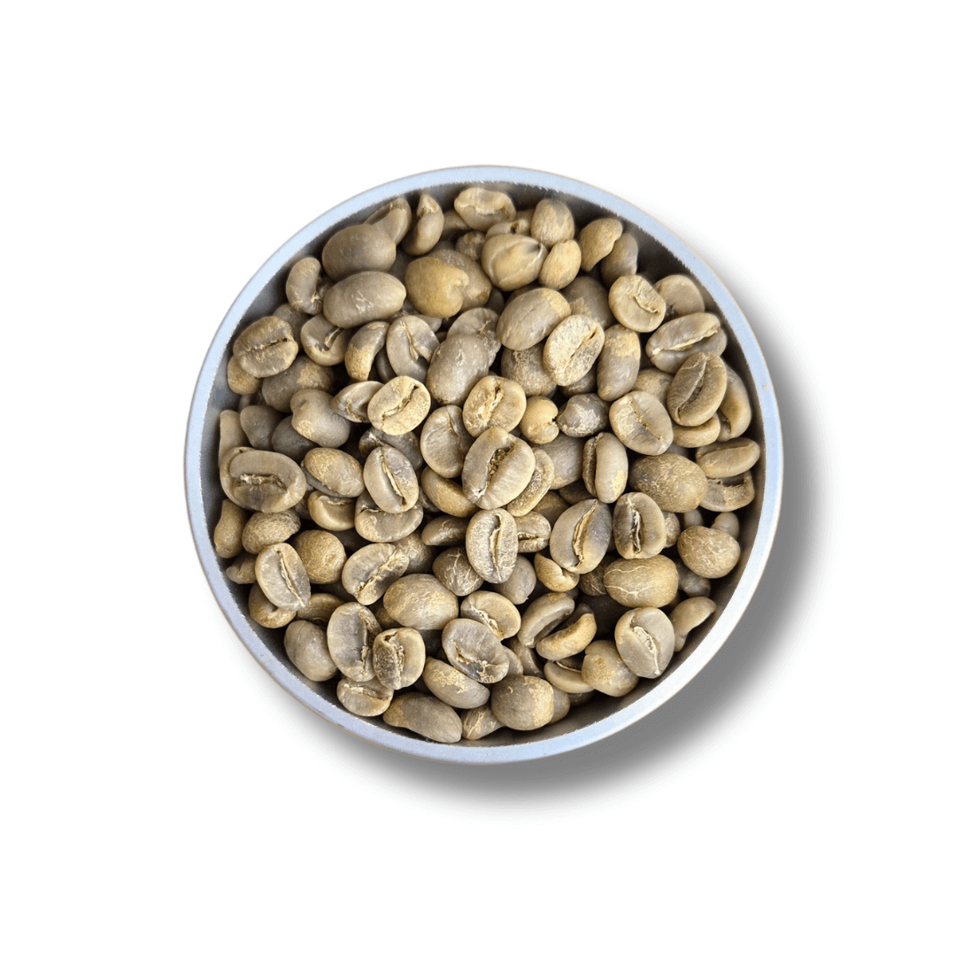 9 Grams Coffee Brazil Santos Flor de Mococa