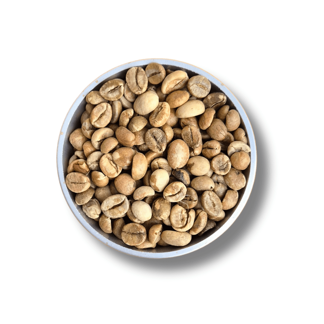 Zelená káva Uganda Robusta CLEAN screen 18- 1kg