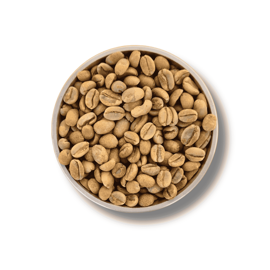 9 Grams Coffee Brazil Santos NY Cristallino