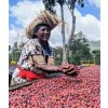 9 Grams Coffee Ethiopia DENBI UDDO natural GR1