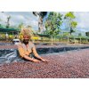 Shantawene drying beds min