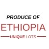 Ethiopia