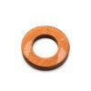 XLVI copper washer