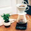 Hario Drip Scale New 5