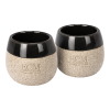 ecm espresso cup
