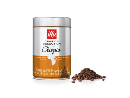 illy etiopia