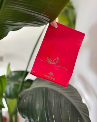 Co nám to vykukuje z palmových listů? 🤔 Ne, banánová káva to není, ale ovocné chuti je plná 🍉 ... V Coffeespot pražírna...