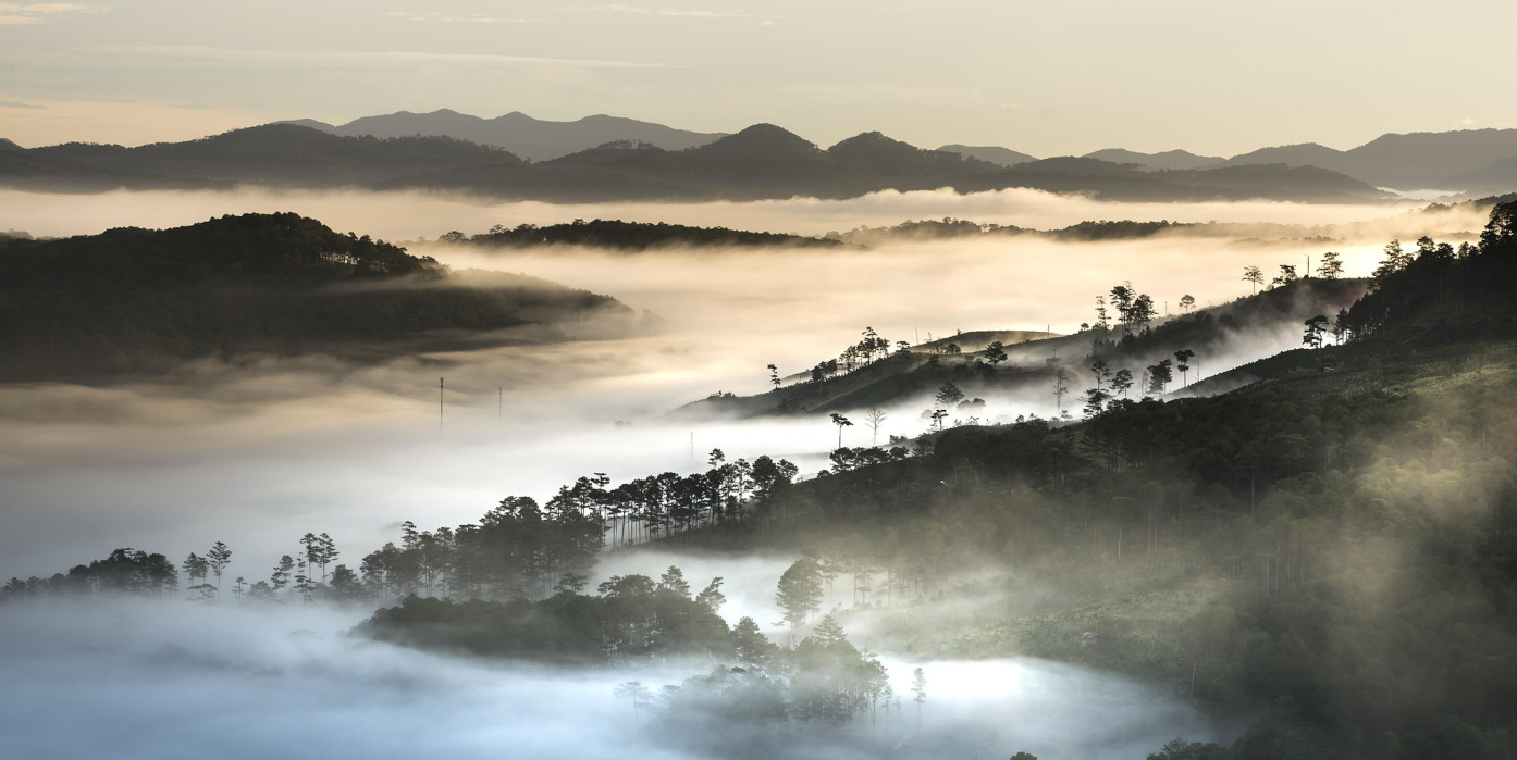 Prečo rastie cena kávy? Čo sa deje na trhoch na prelome rokov 2024 a 2025?