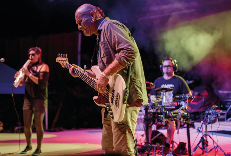 Trottel - pravý maďarský mix.