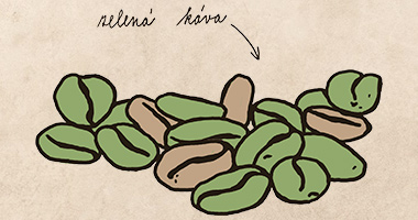 Dovoz zelené kávy ze všech koutů světa