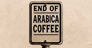 Arabika bude brzy velkým luxusem. Znamená to snad konec výběrové kávy?