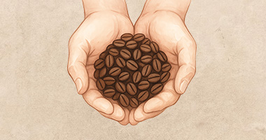 Jak poznat čerstvě praženou kávu? Naučíme vás to